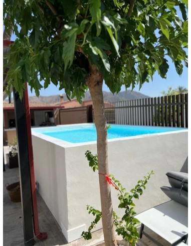 Piscina de Superficie modelo Paraíso