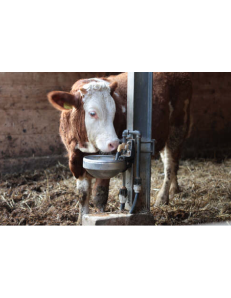Bebedero para vacas Suevia Modelo 1200 con soporte
