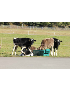 Abrevadero WT 600 Litros 2