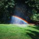 5 trucos para ahorrar agua en el mantenimiento de tu jardín